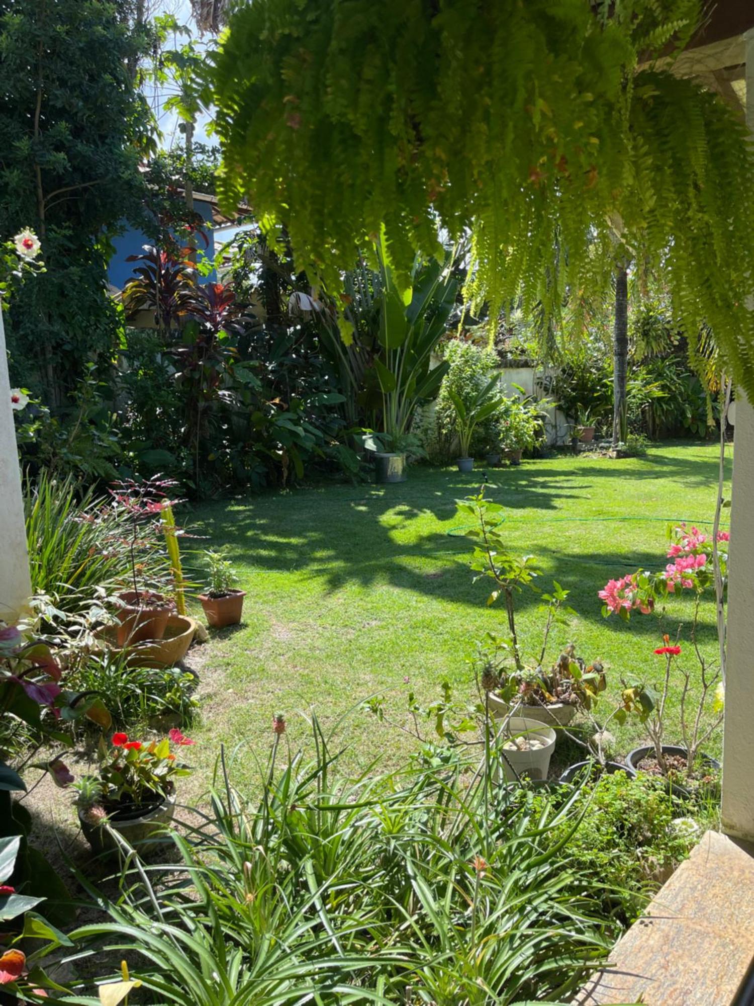 Yucca Pousada Bed and Breakfast Porto Seguro Exterior foto